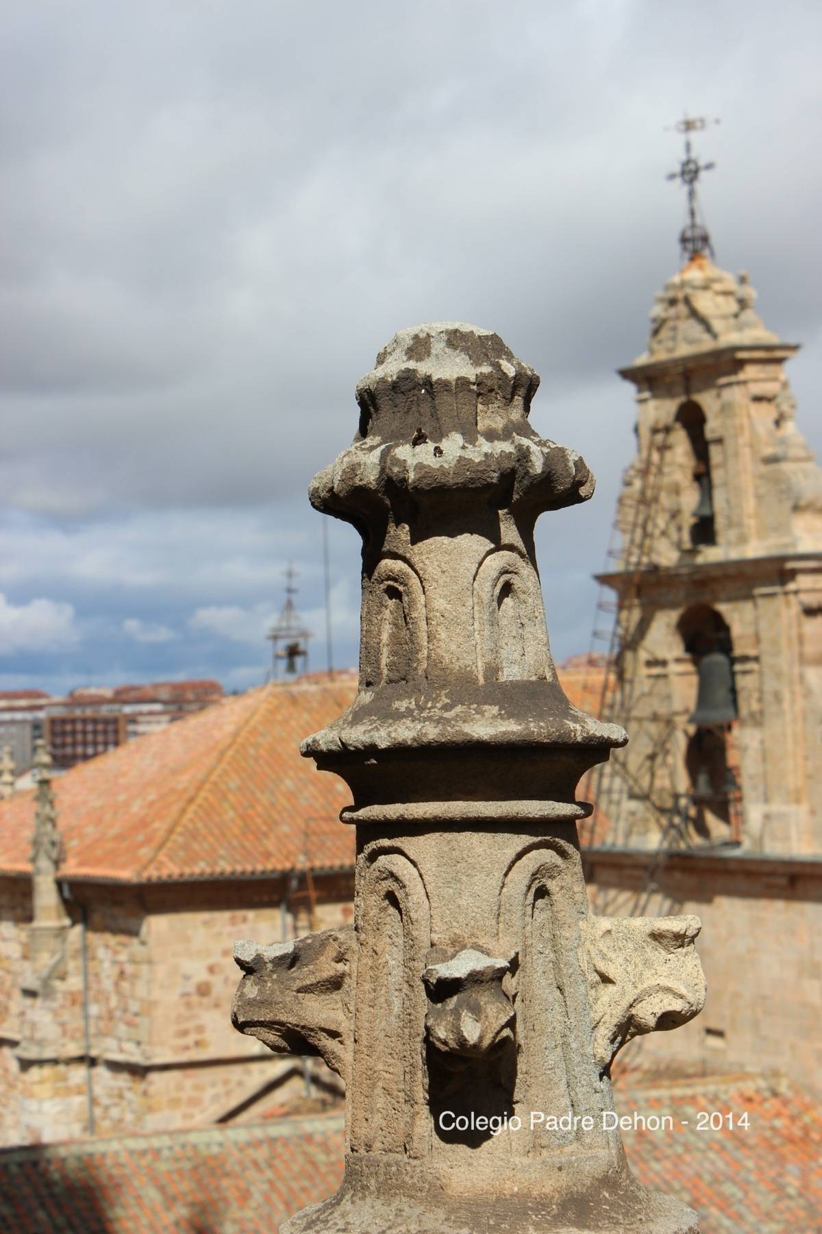 2014 03 22 SALAMANCA IERONIMUS CATEDRAL (142)